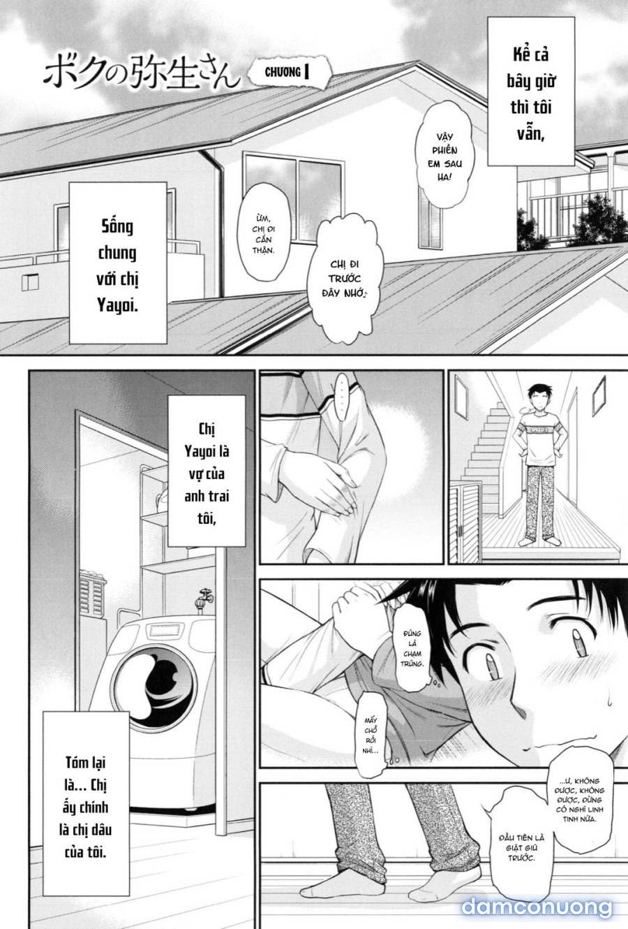 Yayoi-san của tôi 