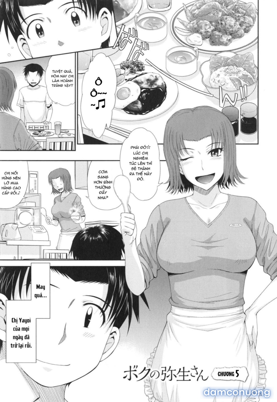 Yayoi-san của tôi 