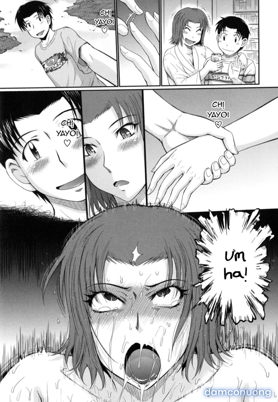 Yayoi-san của tôi 