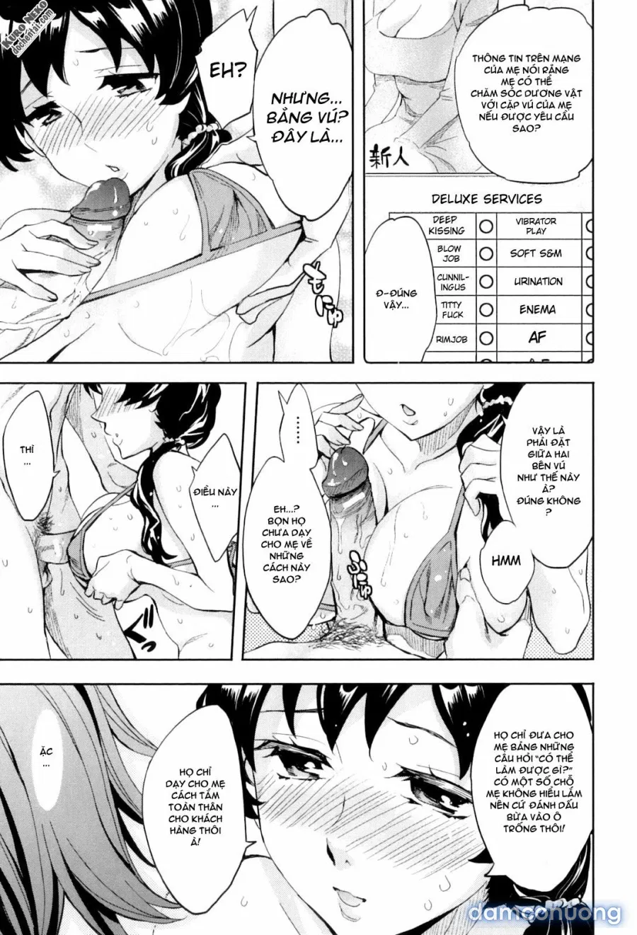 AF – Alternative Family 