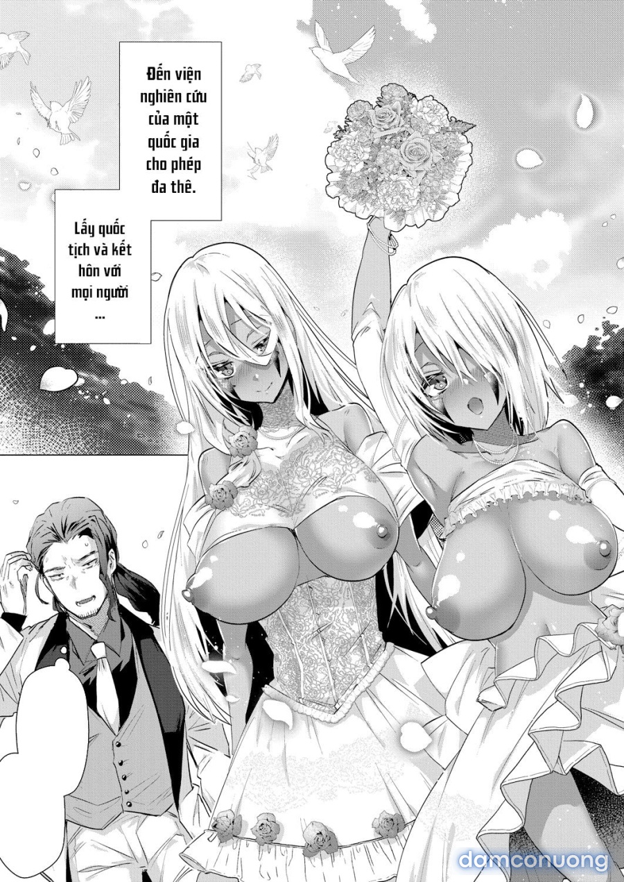 Lạc vào đảo harem toàn gái xinh 