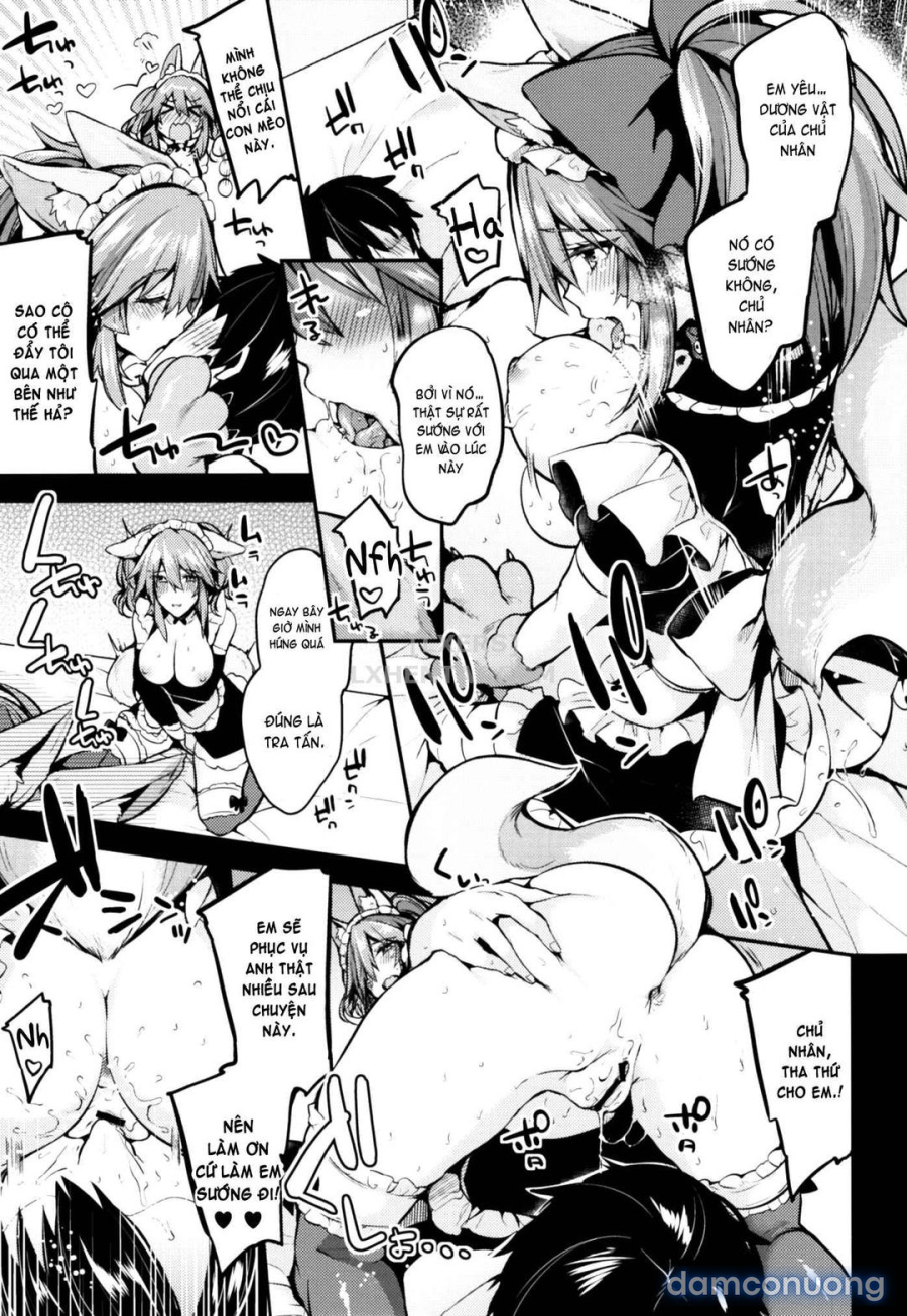Maid Service Double Fox 