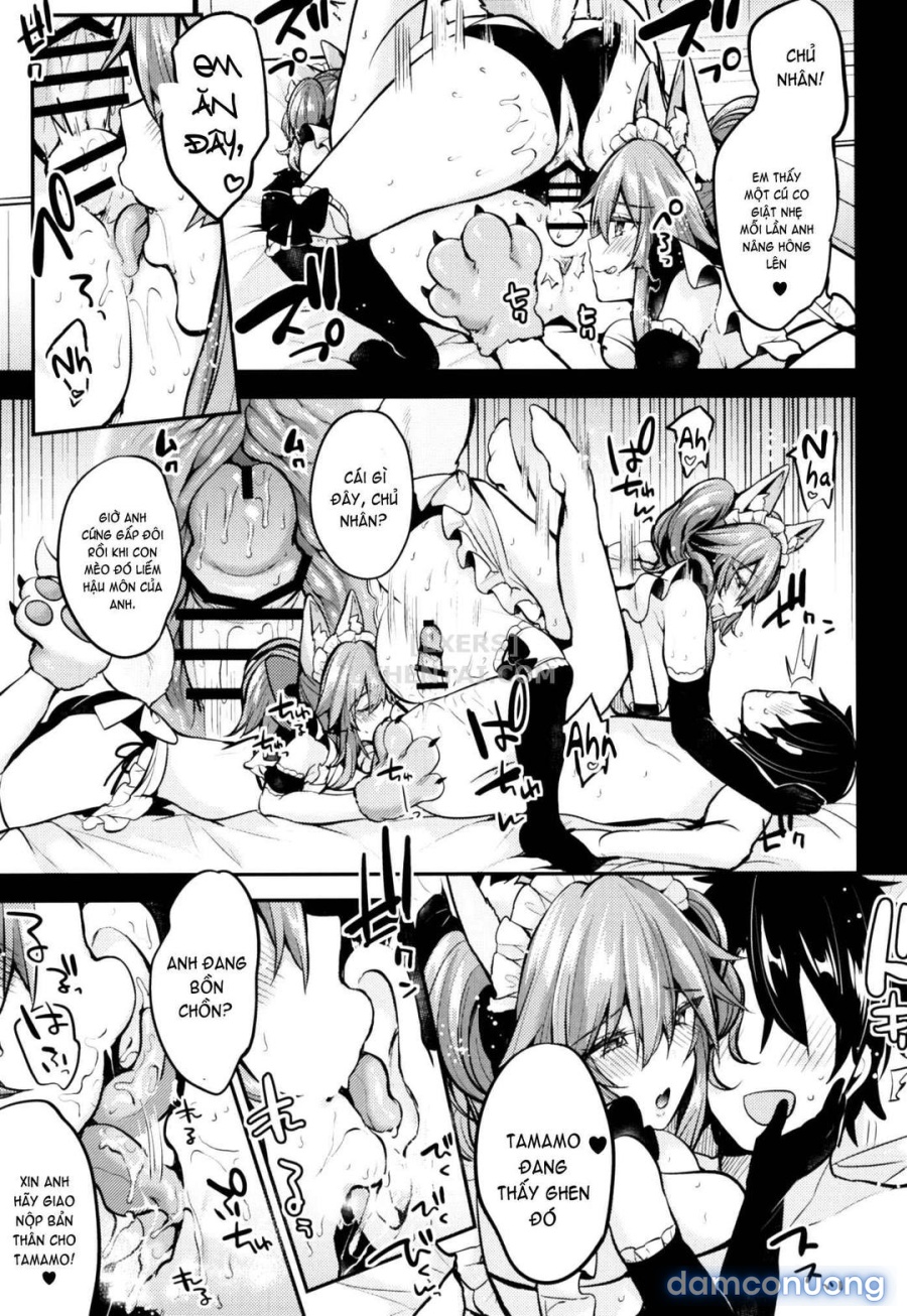 Maid Service Double Fox 