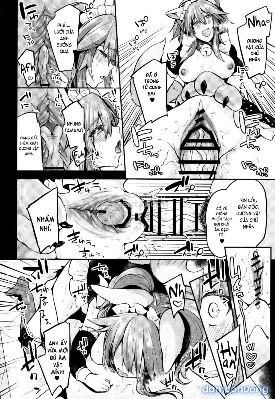 Maid Service Double Fox 