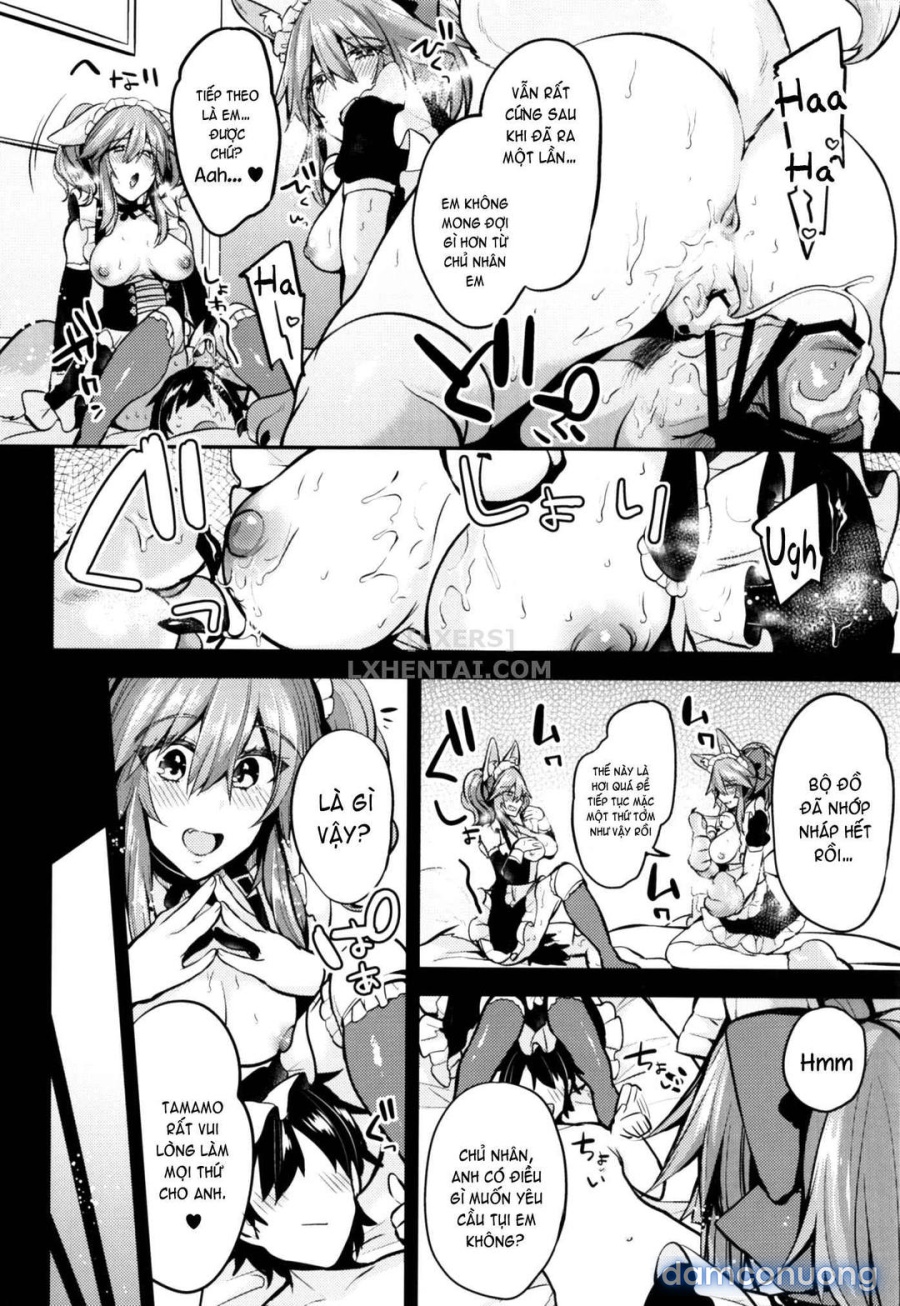 Maid Service Double Fox 