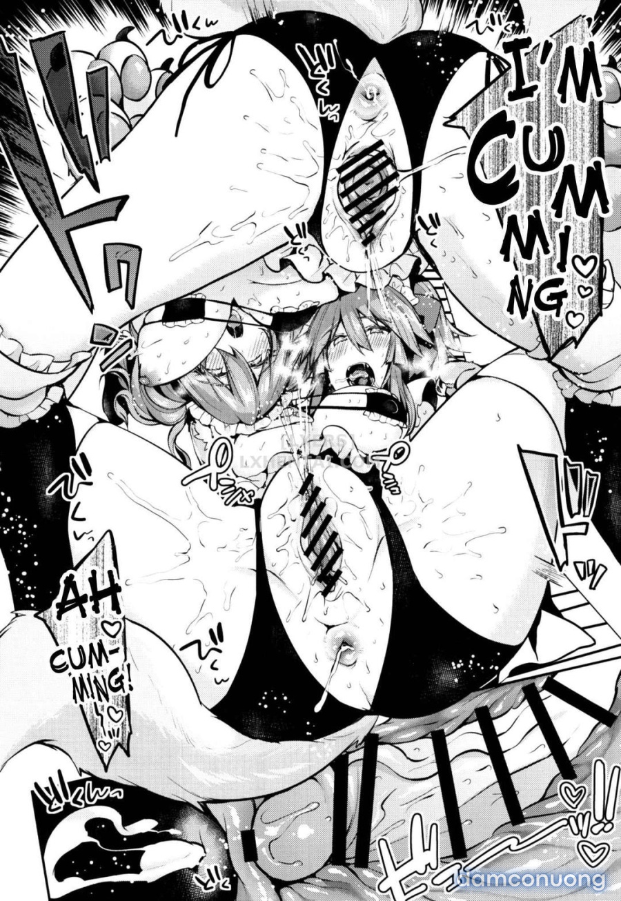 Maid Service Double Fox 