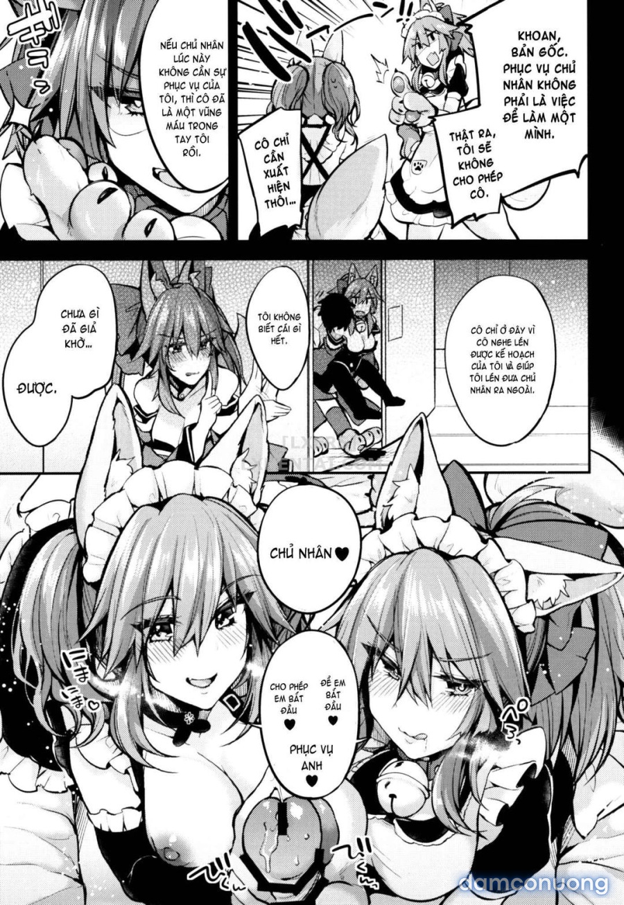Maid Service Double Fox 