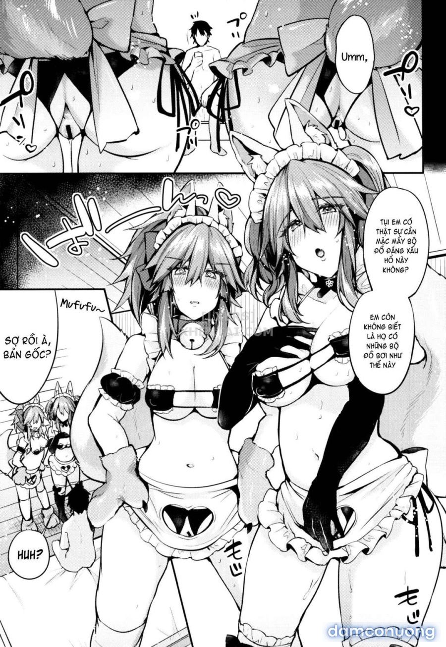 Maid Service Double Fox 