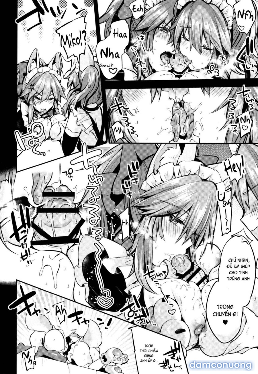 Maid Service Double Fox 
