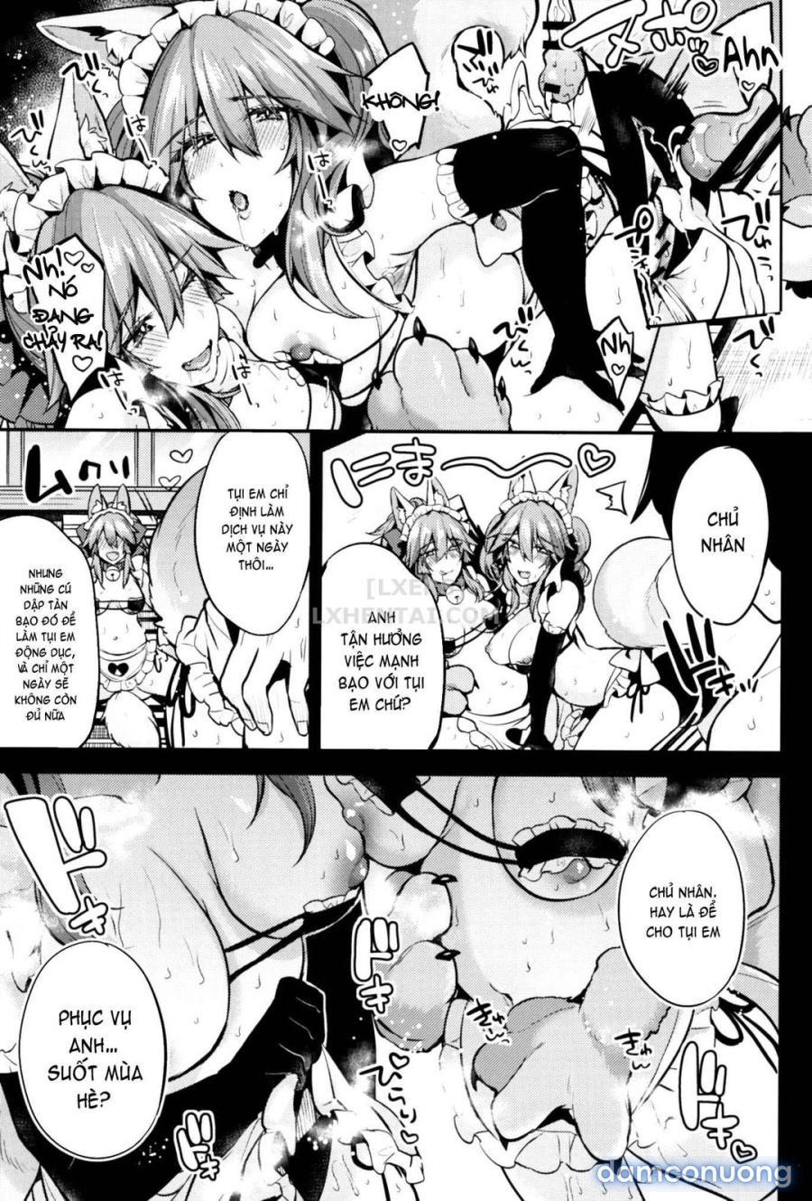 Maid Service Double Fox 