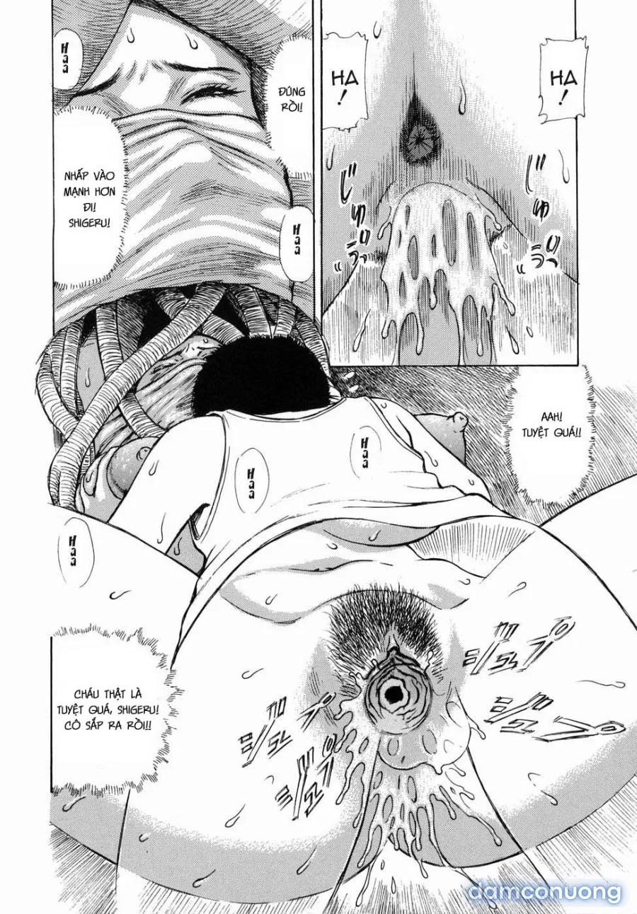 Lewd Root 