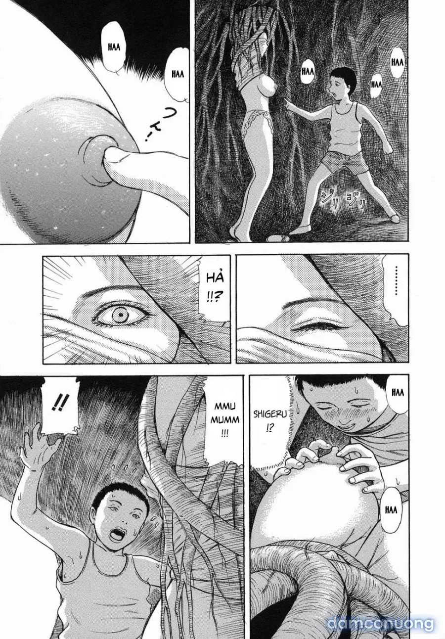 Lewd Root 
