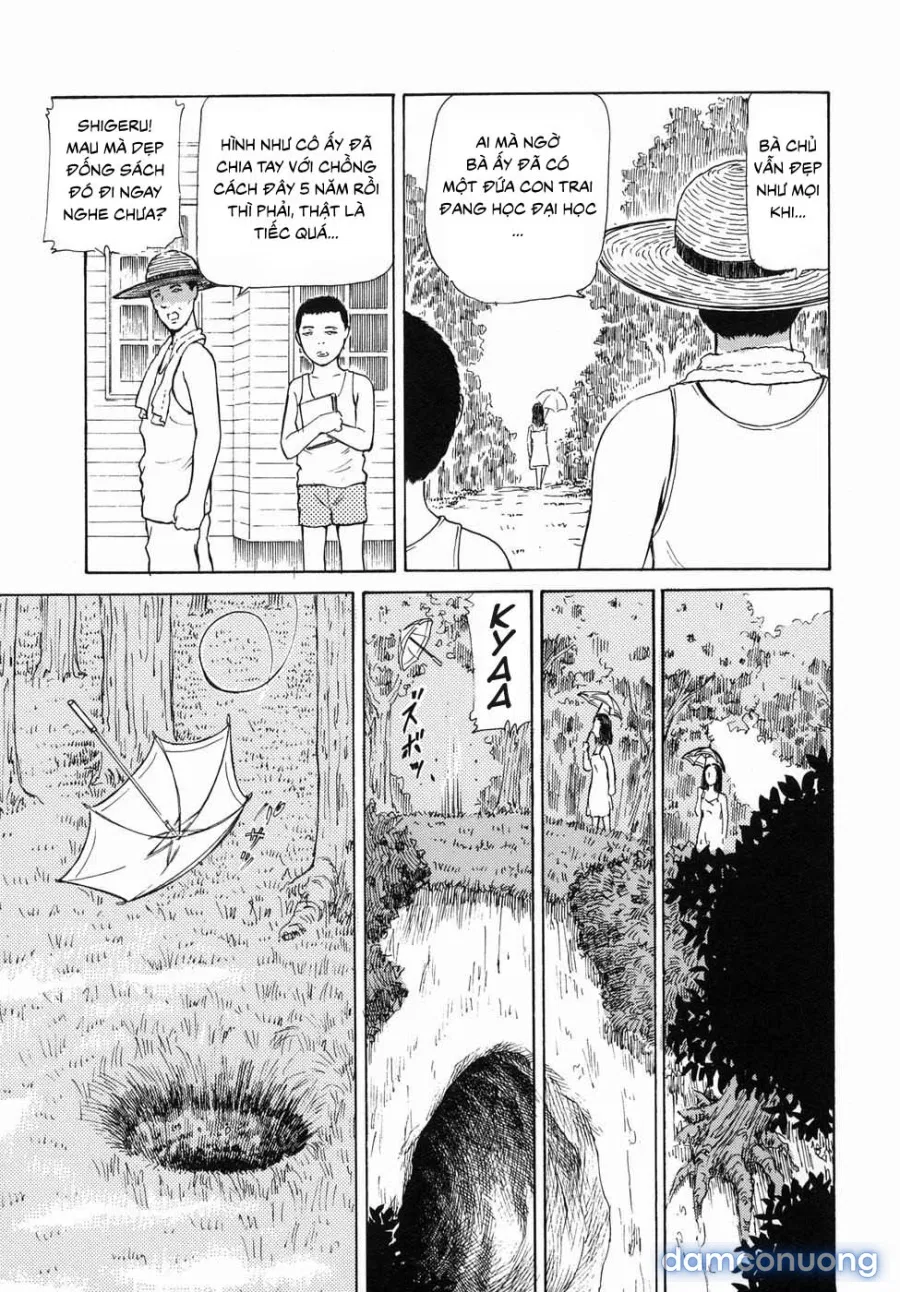 Lewd Root 