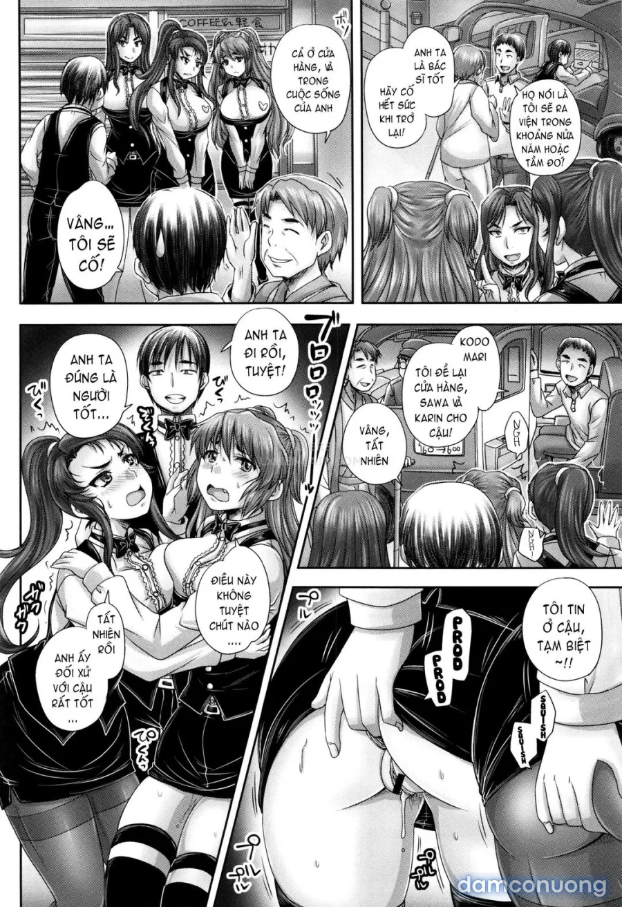 Kissa Hitozuma Nikudorei 