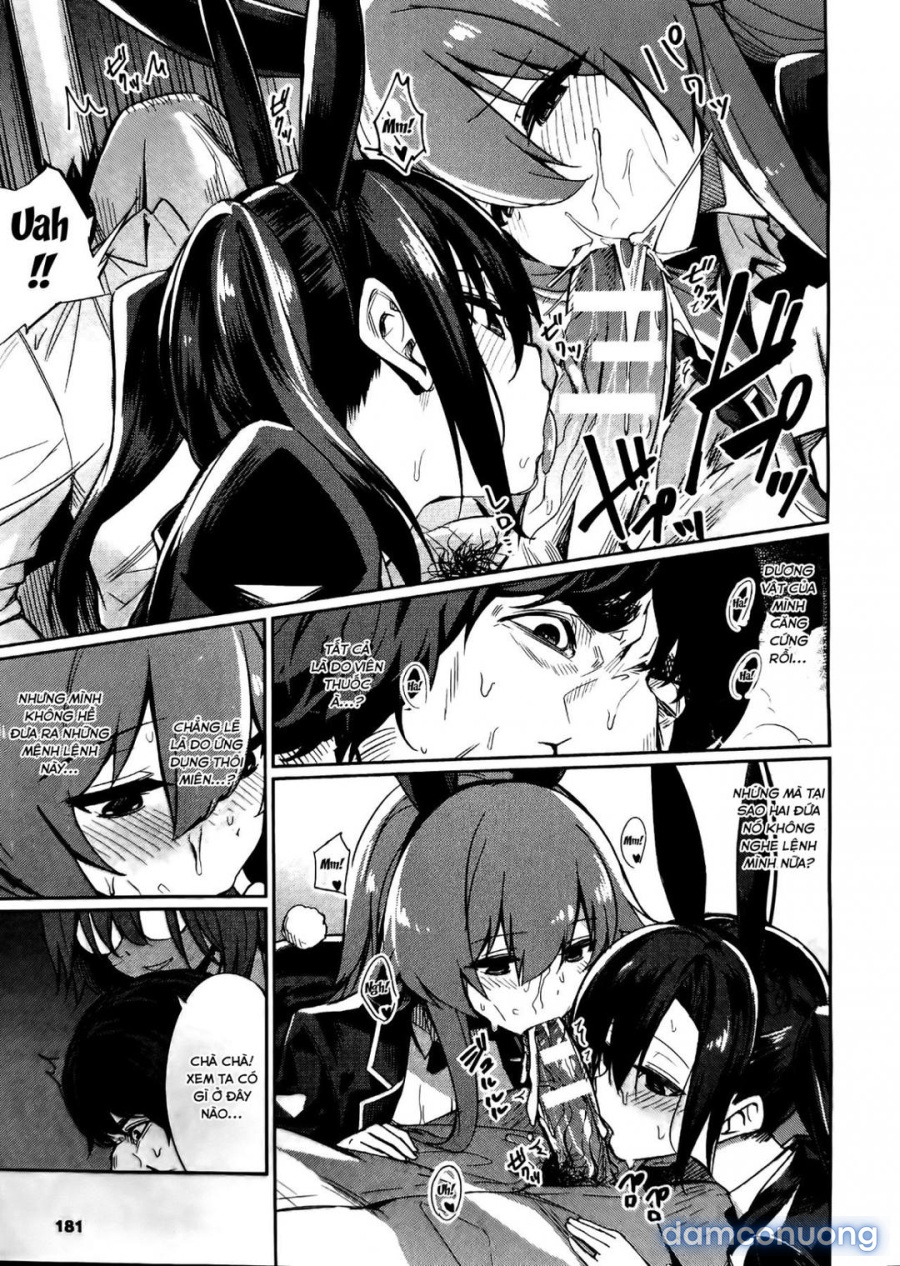 Saimin Gakusei Shidou (App thôi miên) 
