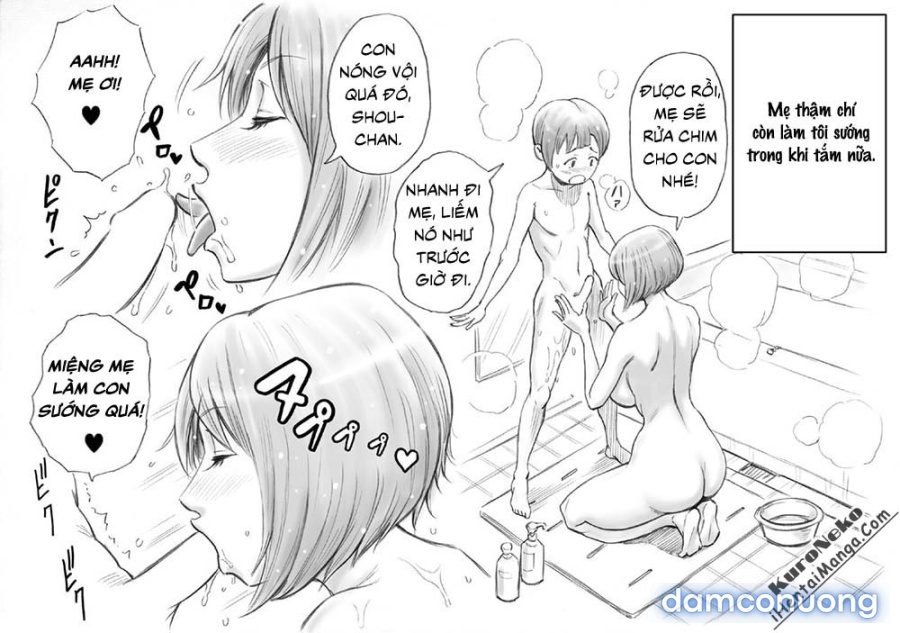 Daisuki na Mama to Aka-chan o Tsukurou 