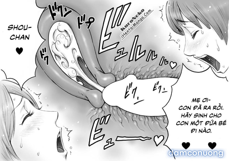 Daisuki na Mama to Aka-chan o Tsukurou 