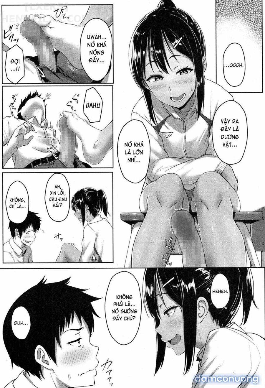 Youthful Days Scheme 