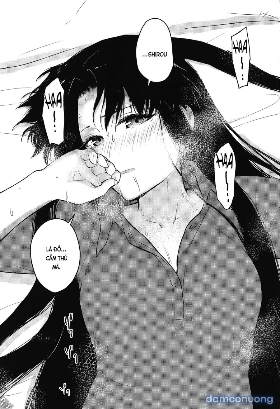 Học Kỳ Hai (Fate/Stay Night) 