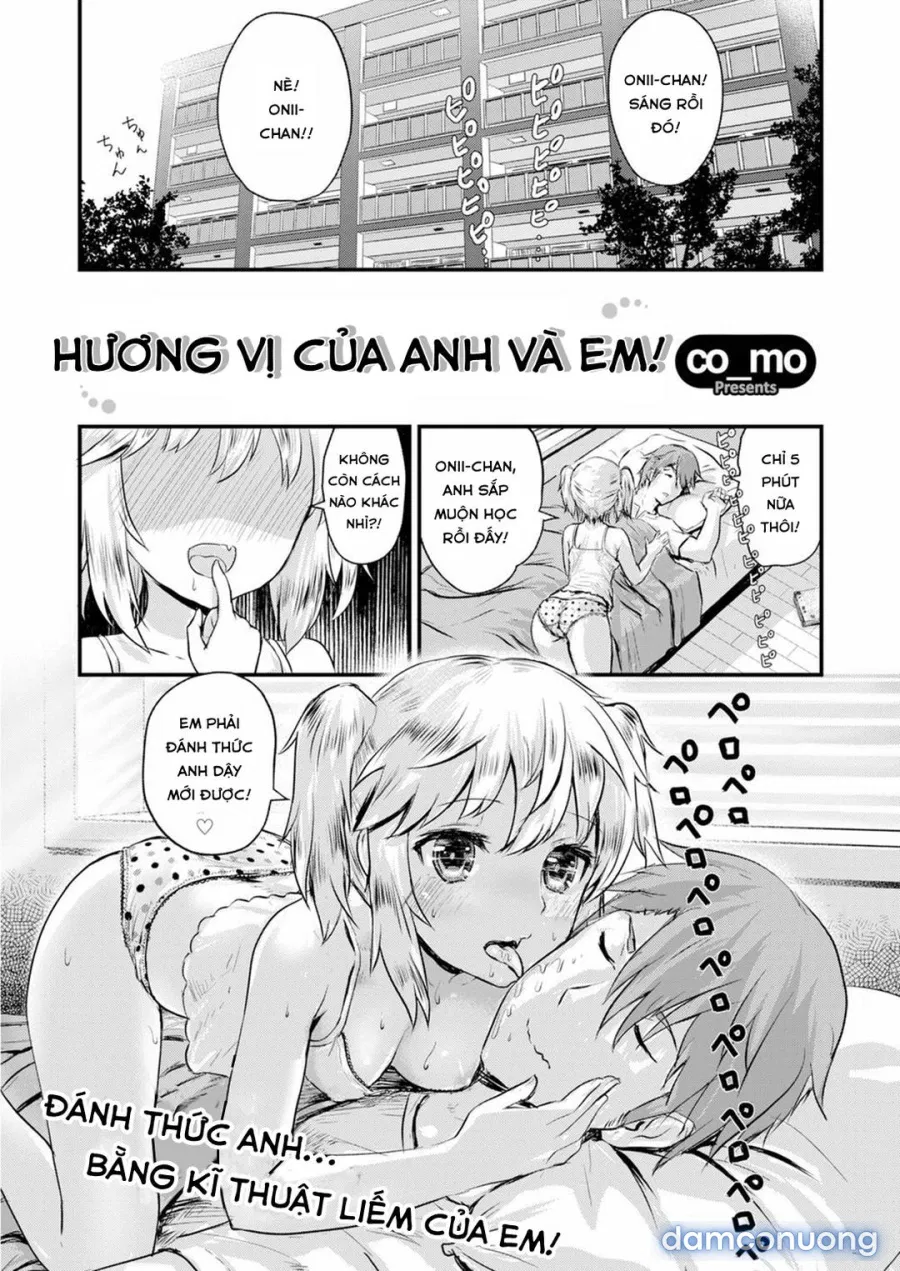 Hương vị anh em 