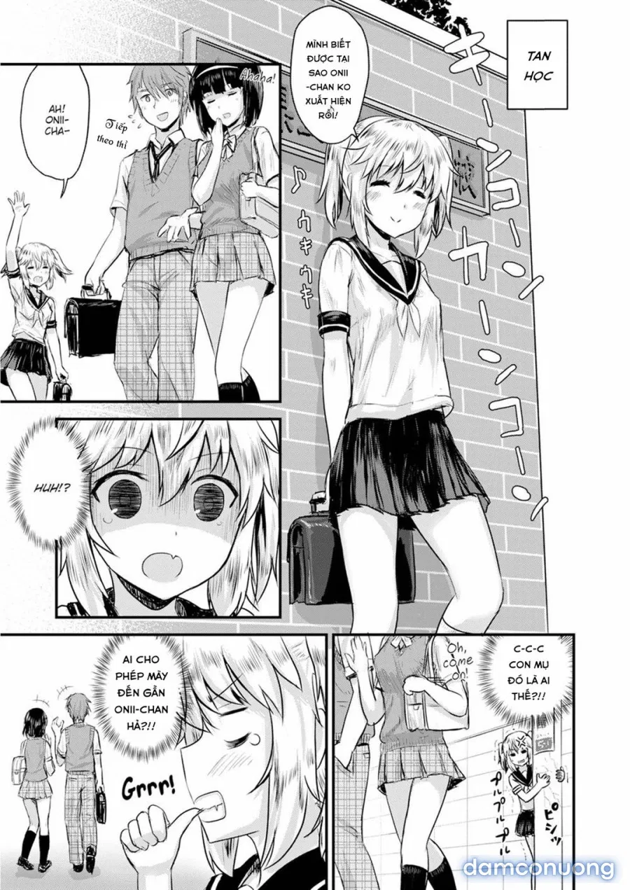 Hương vị anh em 