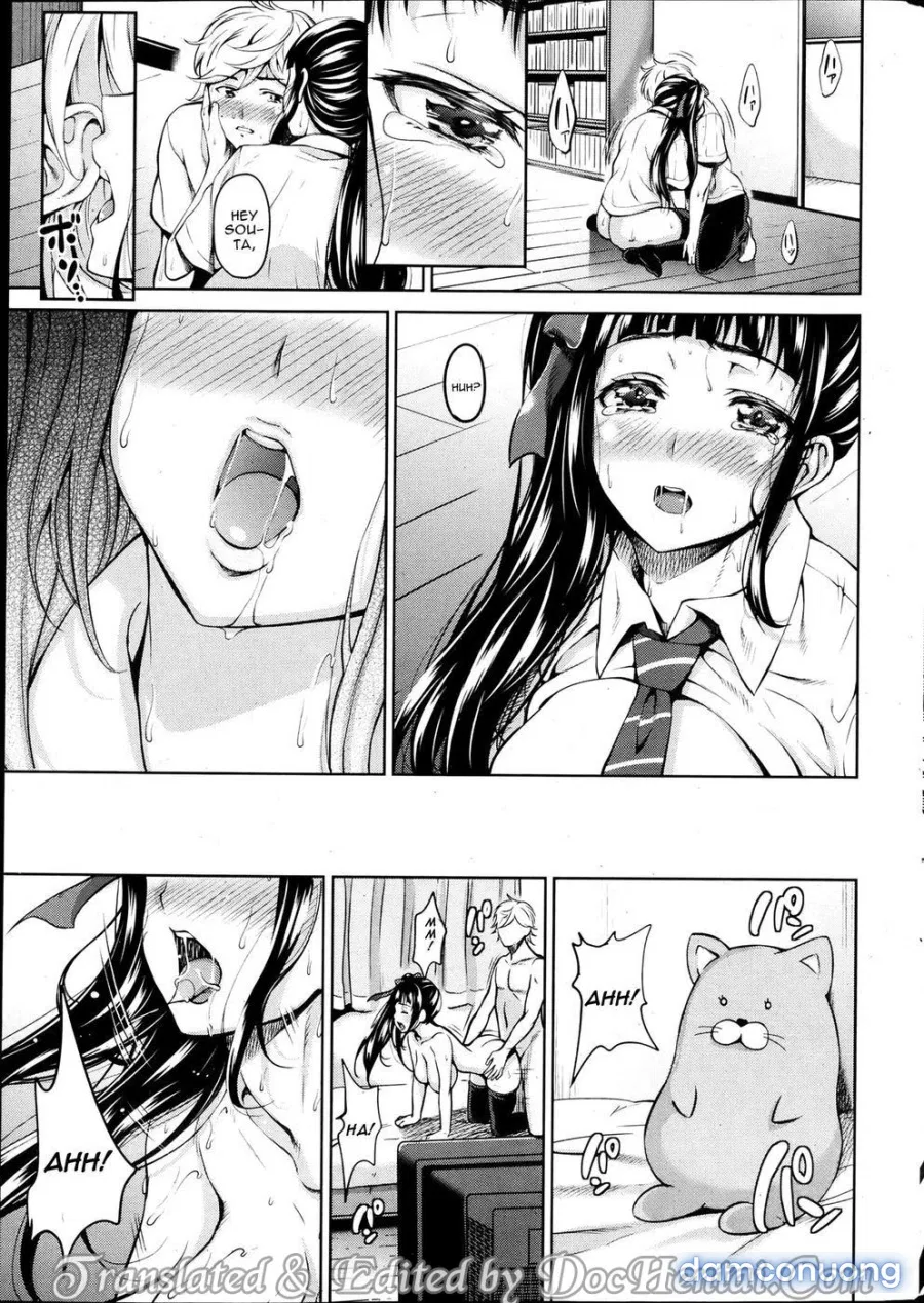 Koitomo 