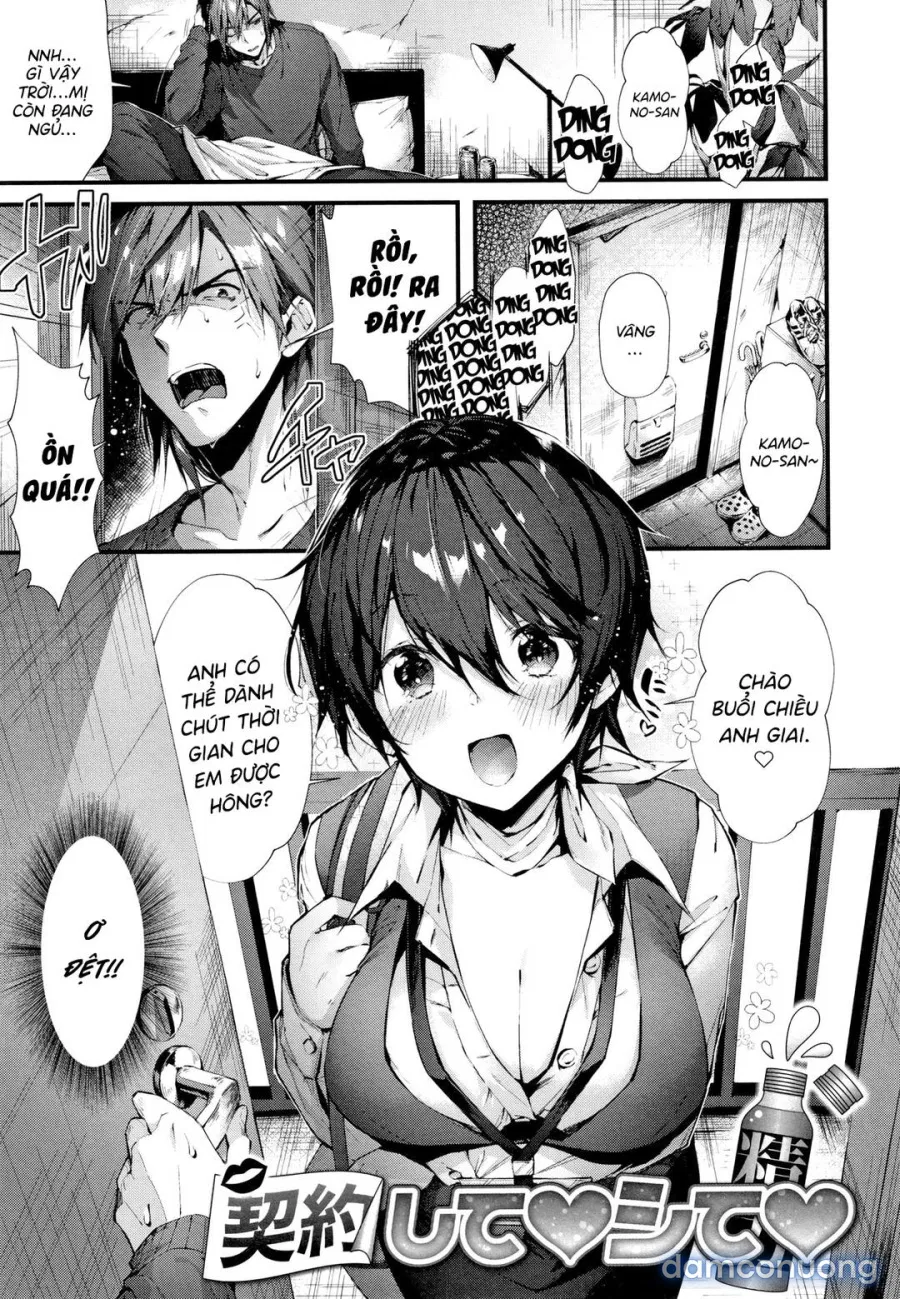 Keiyaku Shite Shite 