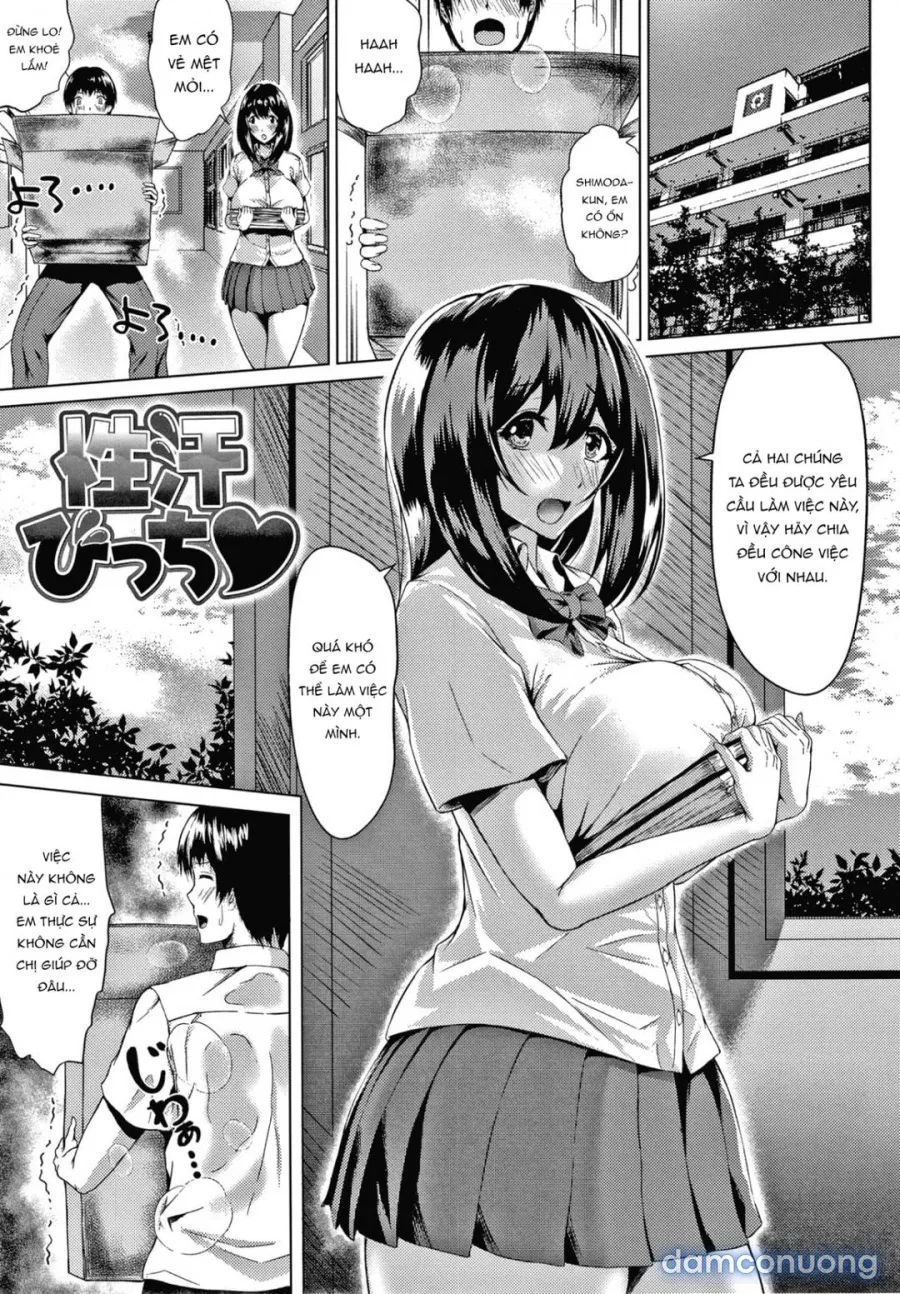 Sweat Slut 