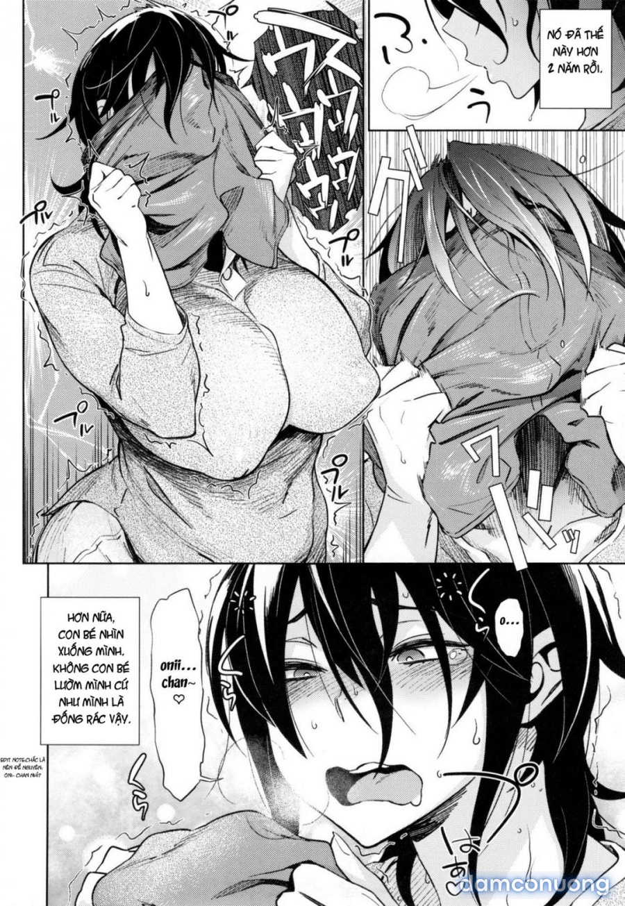 BroConflict 