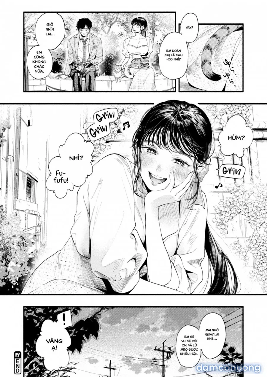 Tìm hiểu Misuzu-san 