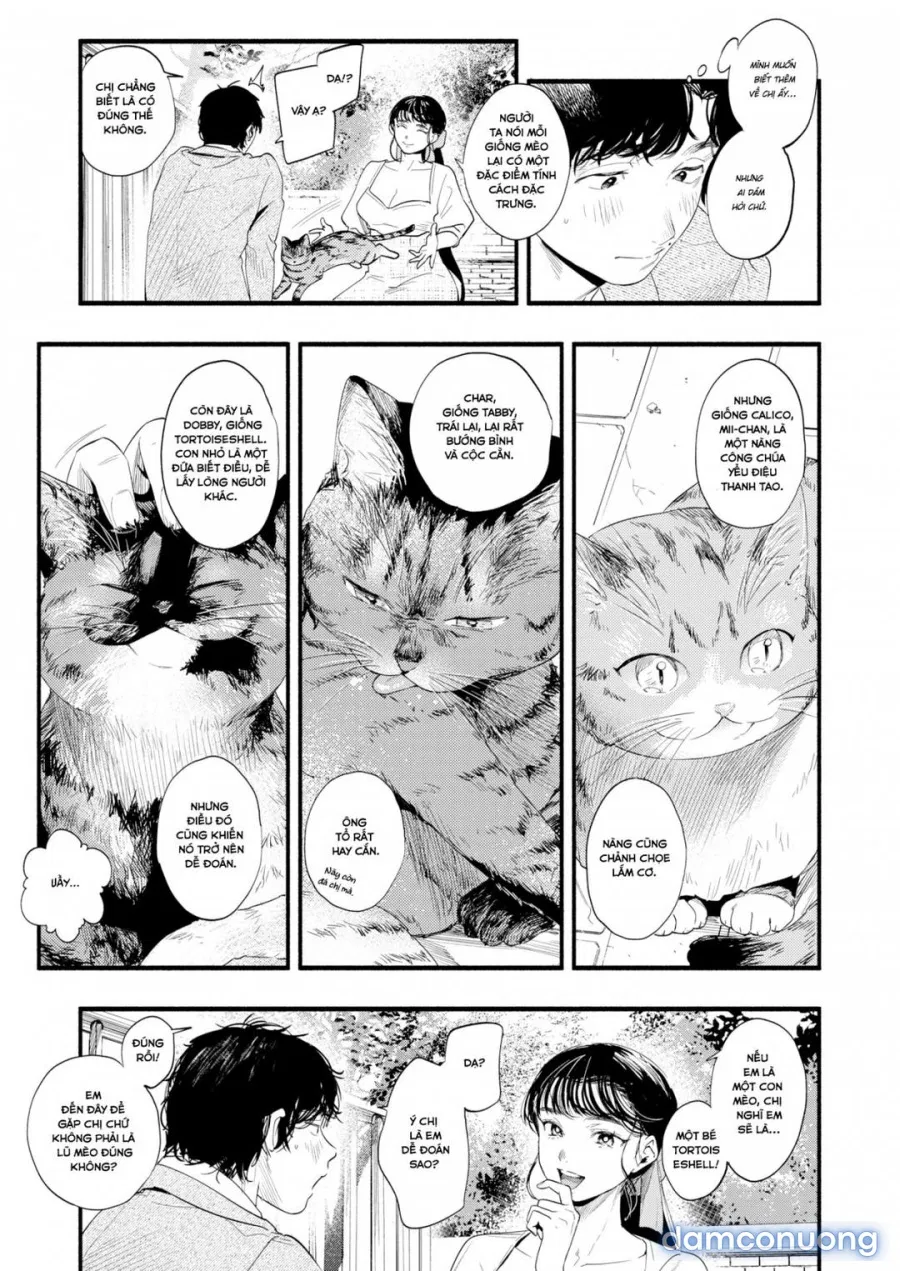 Tìm hiểu Misuzu-san 