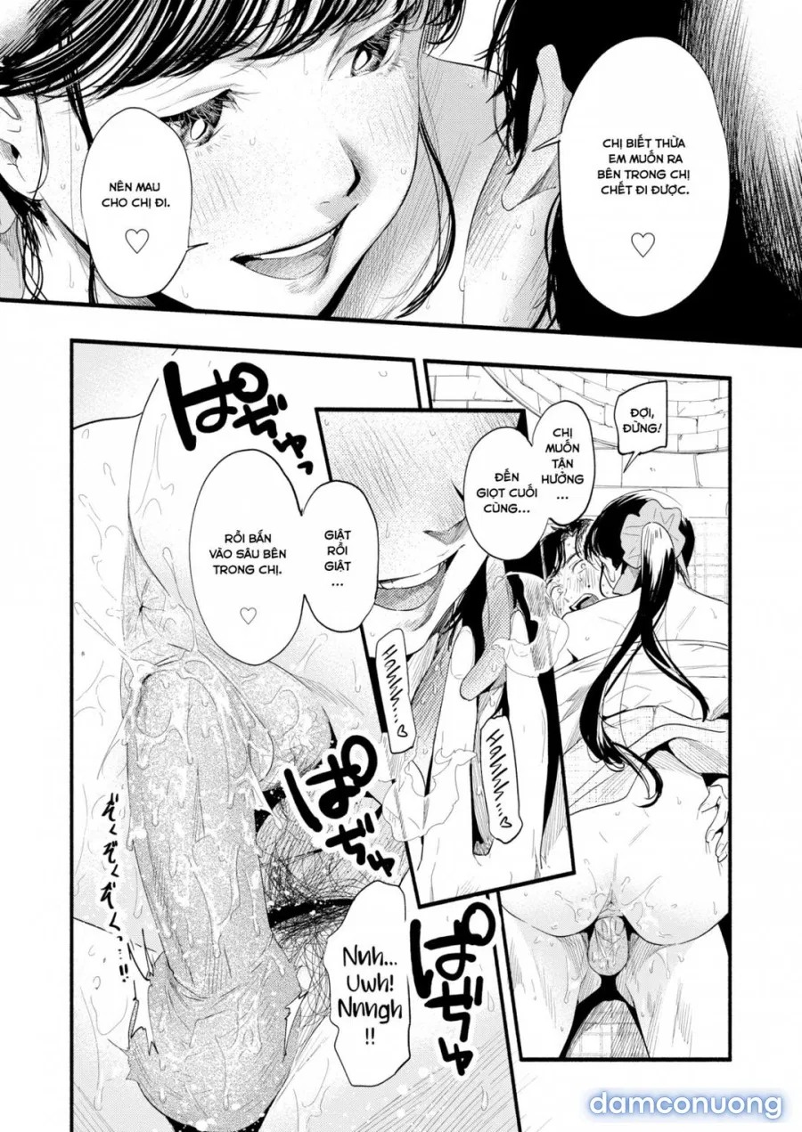 Tìm hiểu Misuzu-san 