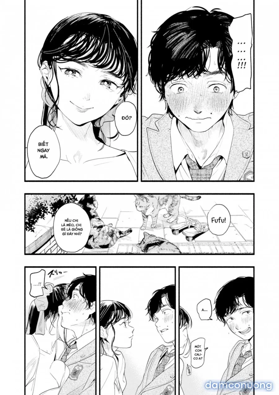 Tìm hiểu Misuzu-san 