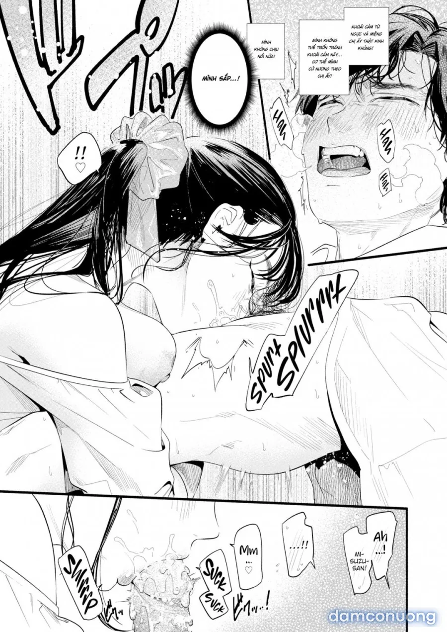 Tìm hiểu Misuzu-san 