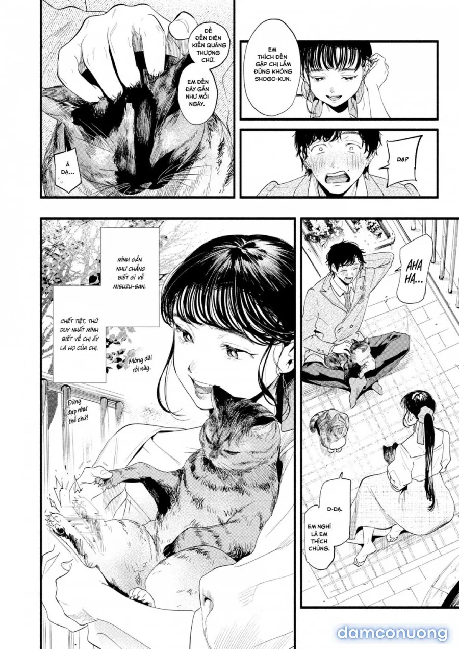 Tìm hiểu Misuzu-san 
