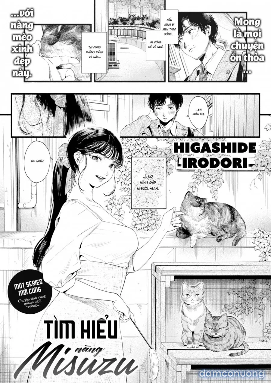 Tìm hiểu Misuzu-san 