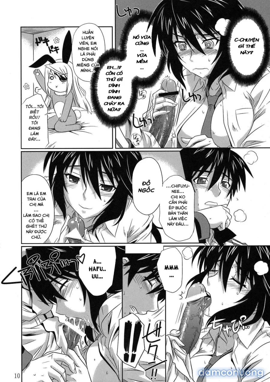 Incest Strategy 