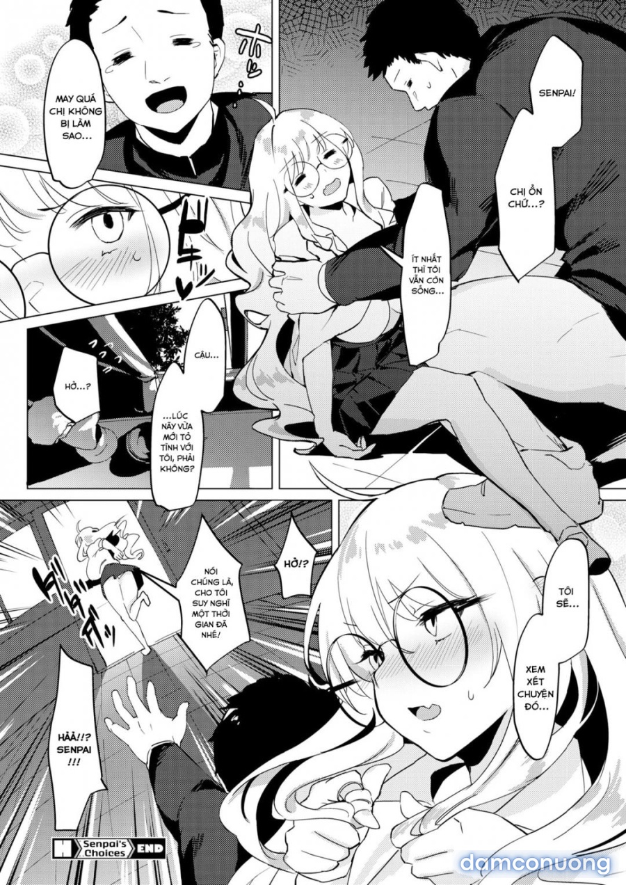 Lựa chọn của senpai 