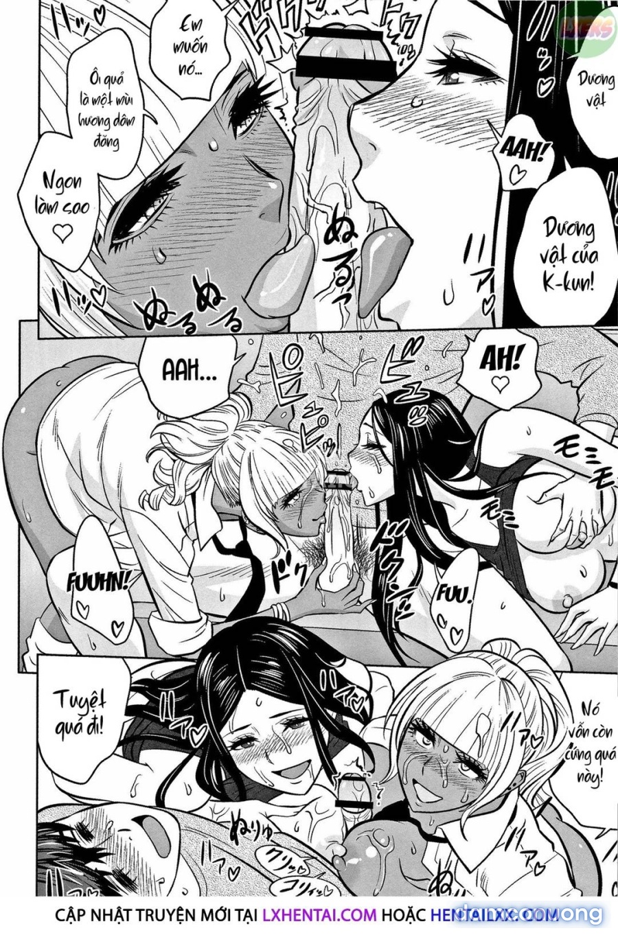 Bạn muốn có một dàn harem nơi công sở? 