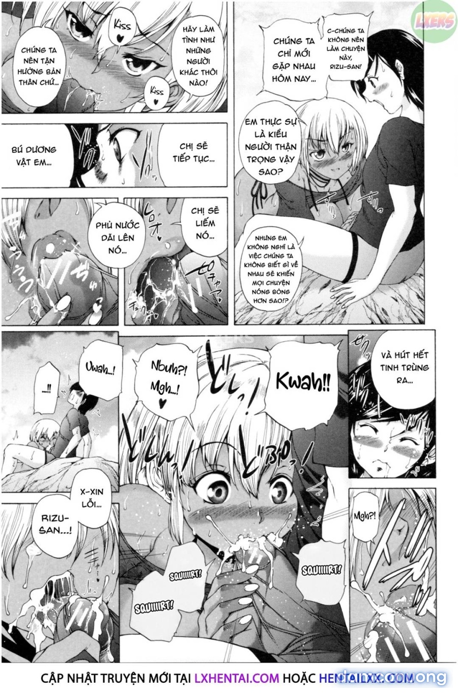 Dàn harem những bà cô hàng xóm 