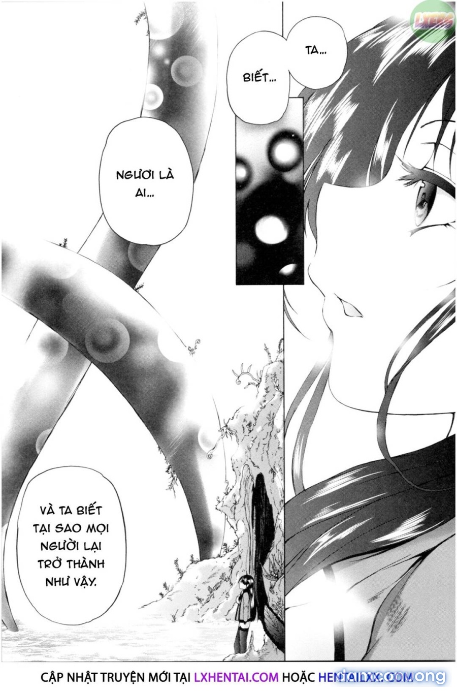 Dàn harem những bà cô hàng xóm 