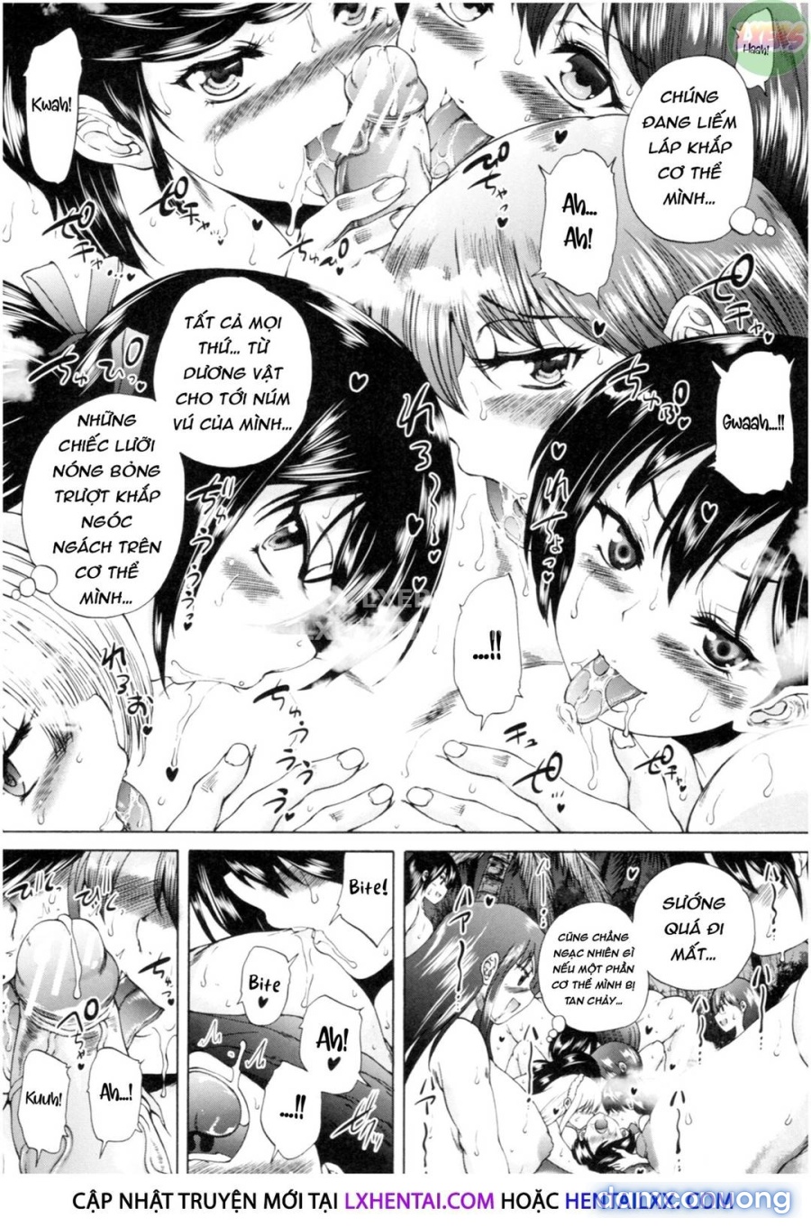Dàn harem những bà cô hàng xóm 