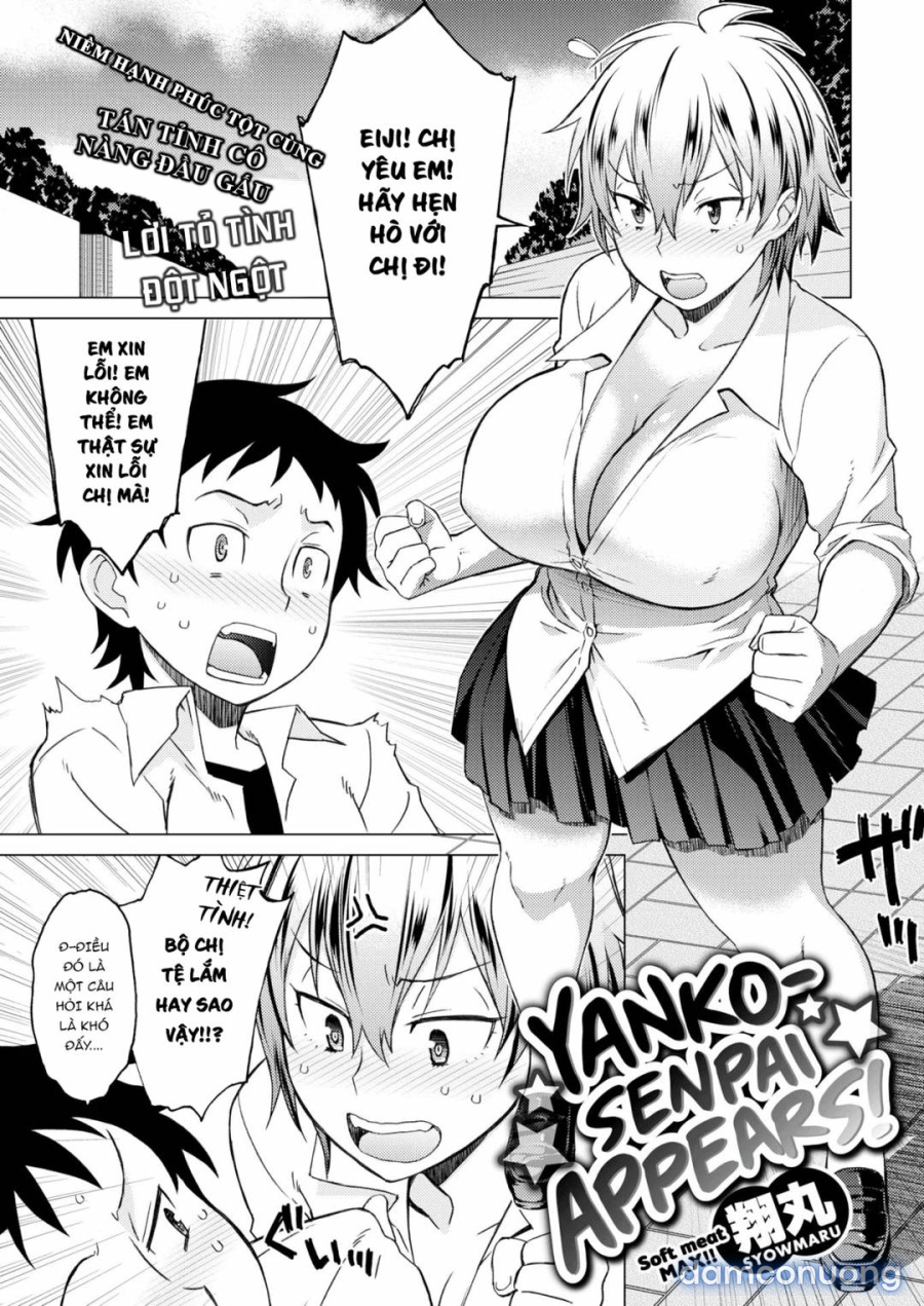 Yanko senpai xuất hiện! 