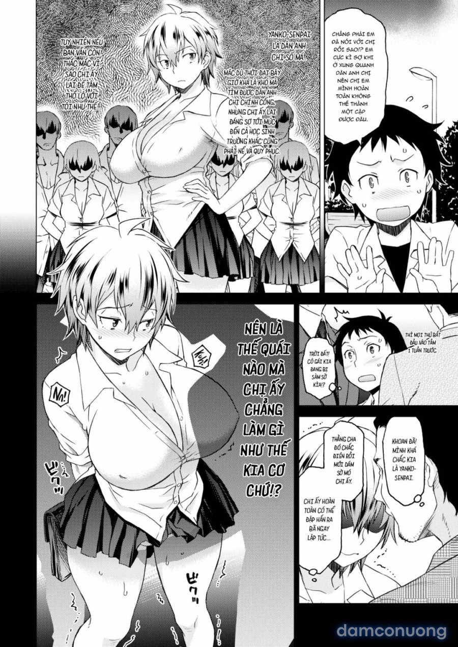 Yanko senpai xuất hiện! 