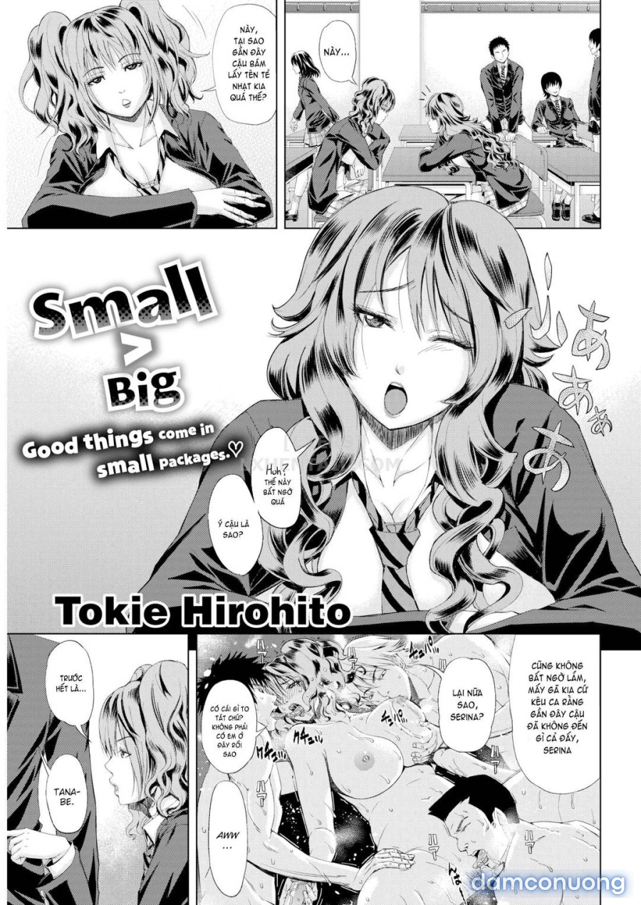 Nhỏ > To 