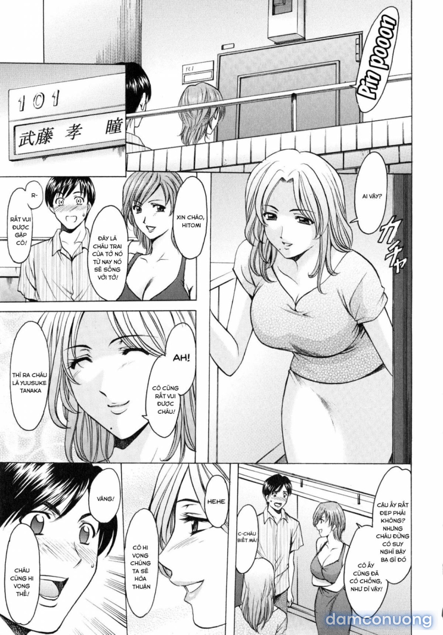 A Seductive Older Womans Appartment 