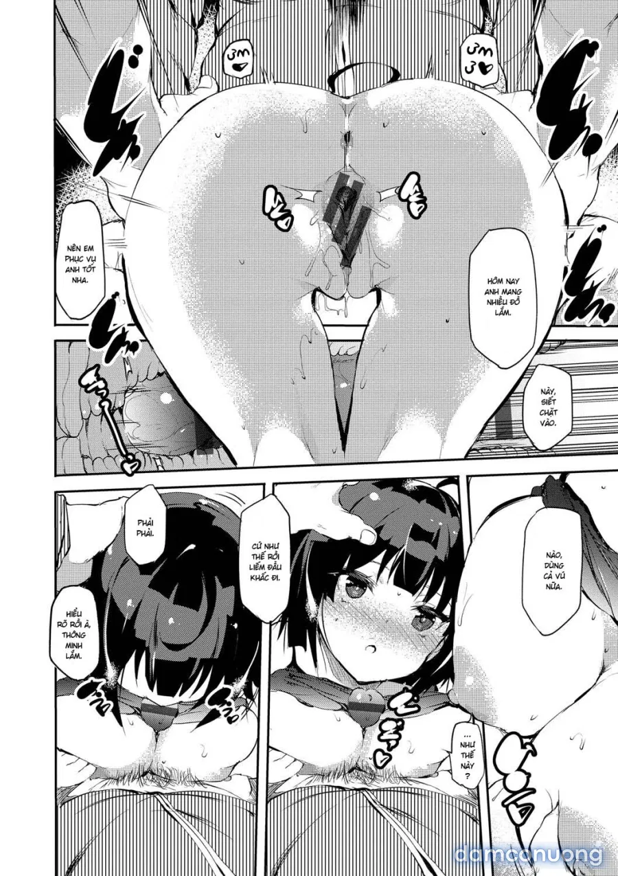 Cô nàng vô gia cư 