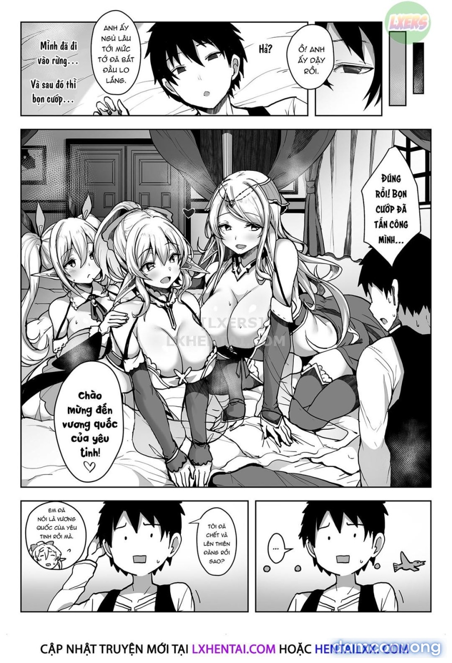 Dàn harem yêu tiên 