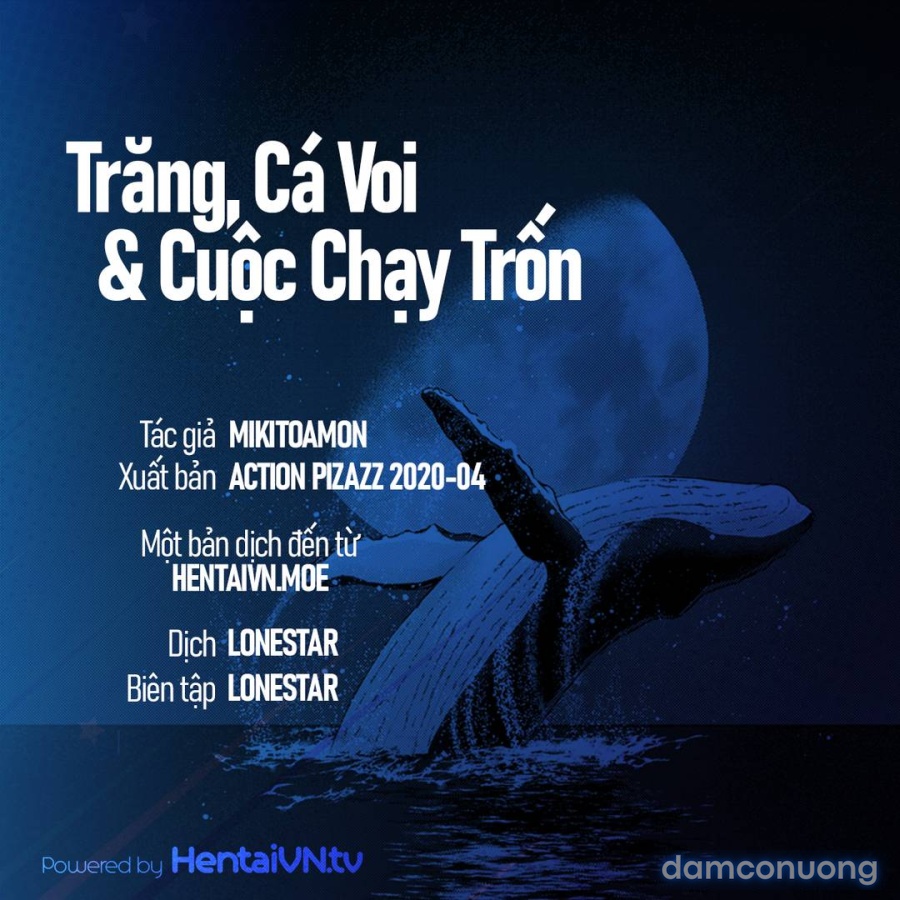 Trăng, cá voi và cuộc chạy trốn 