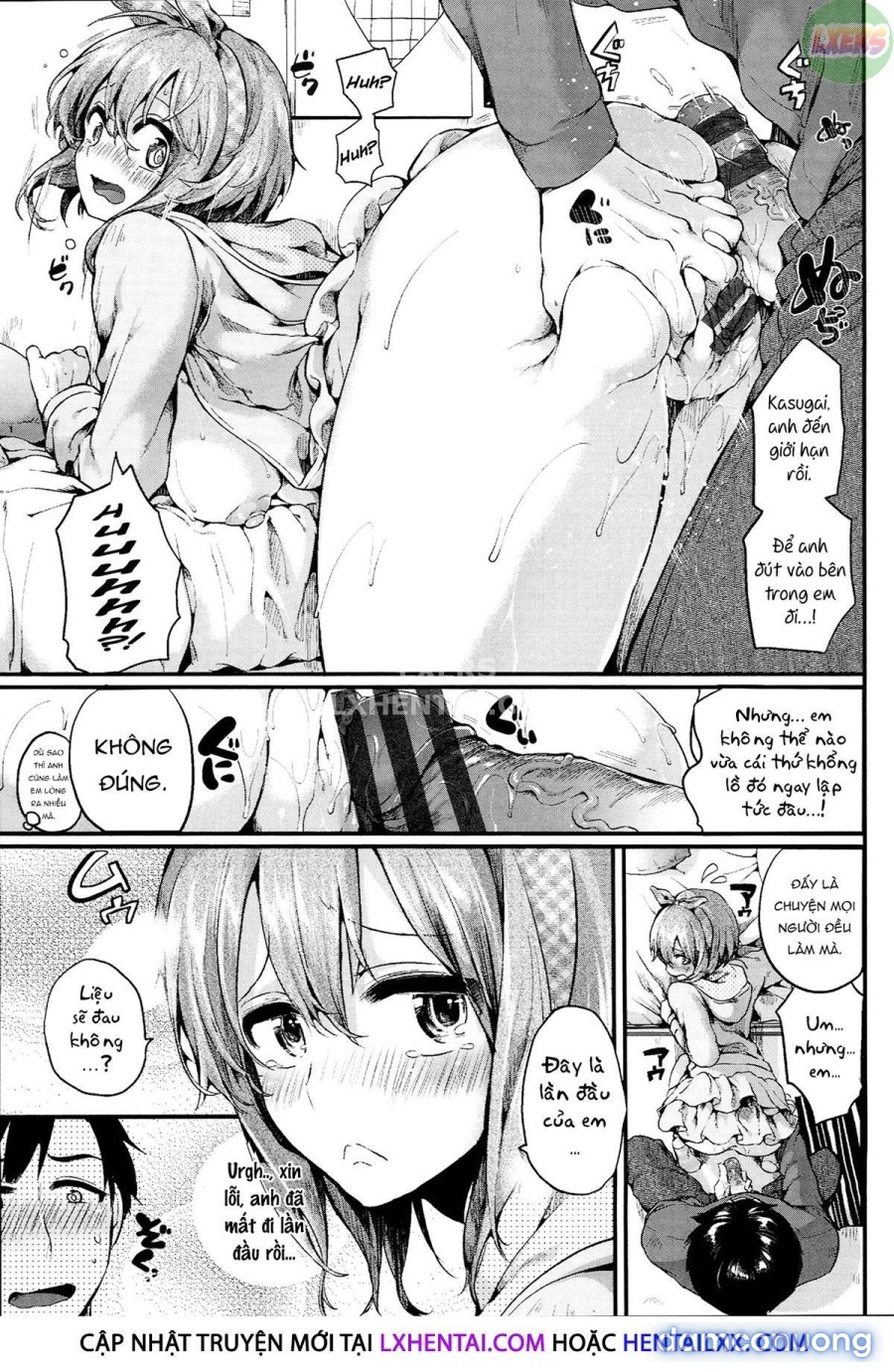 Iinari Acme 